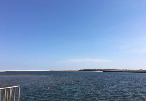 亘理町荒浜鳥の海にて始動しました！